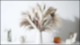 60-100PCS Natural Dried Pampas Grass Bouquet Boho Home Nordic Decor Bouquet Phragmites Dried Flowers Bouquet Wedding Decor
