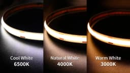320 480 LEDs/m COB LED Strip Lights 16.4ft Flexible Tape Ribbon Lighting RA90 DC12V 24V Dimmable 3000K 4000K 6500K Led Strip