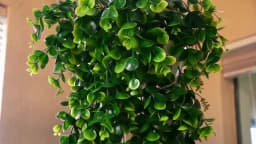 Artificial Hanging Plants Faux Eucalyptus Leaf Greenery Vine Outdoor UV Resistant Plastic Plants for DIY Home Wedding Decoration