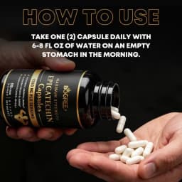 Epicatechin Capsules - Protein Synthesis, Athletic Ability, Strength, and Lean Muscle Support - Carnosine Inhibitors Supplements