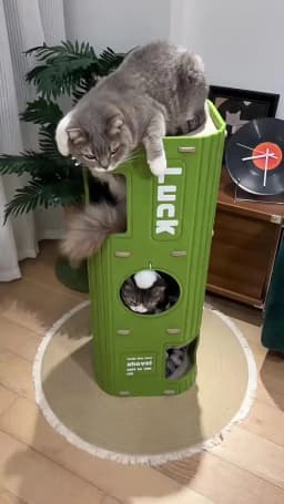 Multi-layer Cat Bed Closed Safety Cat Nest Wear-resistant Felt Cat Climbing Frame Indoor Integrated Pet Toys for All Seasons