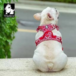 Truelove Pet Dog Harness for Big Medium Small with Cotton Aluminum Alloy Floral Pattern Adjustable Vest TLH5655
