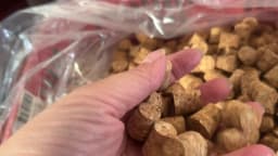 5/10pcs Wine Glass Bottle Stopper Kettle Pudding Container Cork Cap Burette Buret Tube Wood Lid Many Sizes
