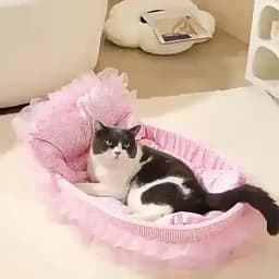KEMORELA Gauze-edged Cat Princess Sofa Bed Washable and Removable - Universal Pet Mat for All Seasons Suitable for Cats and Dogs