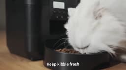 Smart Pet Feeder Automatic Cat Feeder Dog Slow Food Machine With Timed Quantitative Automatic Cat Food Dispenser Cat Dog Bowl