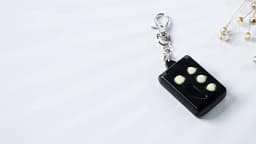 Universal Garage Control 433 Mhz 10PCS RMC555 Remocon 555 250-450mhz Adjustment Remote Control Duplicator For RMC888