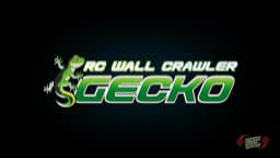 2.4G RC Car Wall Climbing Gecko Electric Simulation Lizard Light Chameleon RC Wall Climbing Car Children Birthday Gift