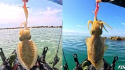 LETOYO luminous 3 colors squid bait squid jig eging Artificial bait Webfoot octopus egi lure cuttlefish fishing lures squid hook