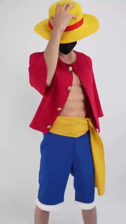 HOLOUN ONE Anime Monkey D. Luffy Cosplay Costume Straw Hat Adult Version Top Shorts Hat Waist Strap Cos Convention
