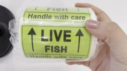 250 pcs Live Fish Stickers Shipping Labels, 2 X 3 Inch Fluorescent Green Please Handle with Care Stickers
