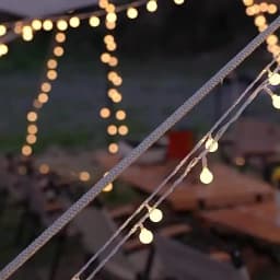 LED String Lights USB/Battery Power Globe Bulbs LED Ball Garland Lights Garden Christmas Camping Tent Canopy Decor