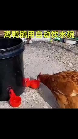 10/20/30Pcs Chicken Waterer Cups Chicken Feeder Cup for Chicken Duck Turkey Rabbit,3/8 Inch Thread Poultry Watering Feeder