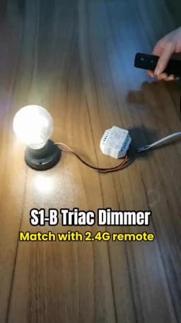 AC Triac LED Dimmer 220V 230V 110V with 2.4G Wireless RF Touch Remote Control Lamp Push PWM Dimmer Switch S1-B Dimming for Home