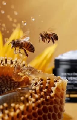 Premium Bee Venom Cream Face Neck Collagen Boost Skin Firming Lifting Natural Hydrating Moisturizer Non Greasy Gentle Care Impro