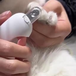 New Pusher Scissors For Dogs And Cats Can Be Adjusted Round Hole Scissors Nail Scissors Do Not Hurt Blood Line Blind Scissors