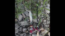 GOBASS 5pcs Mini Metal VIB Blade Jig Fishing Lure 25mm 3g Sinking Vibration Artificial Baits Spoon Vibe for Bass Pike Perch