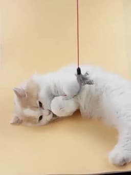 Cat Toy Feather Cats Sticks Cat Toys Interactive Double Feather Toys Cats Teasing Kitten Teaser Stick with Bell Toy Pet Products