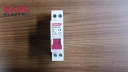 DZ30-32 DPN 1P+N Mini Circuit Breaker MCB 6A 10A 16A 20A 25A 32A Din Rail Mounting Cutout Miniature Household Air Switch OEM DIY