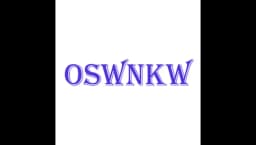OSWNKW-08Pre Filter Purifier Whole House Spin Down Sediment Water Filter Central Prefilter System Backwash Stainless Steel Mesh