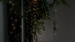 Led Decoration Solar Energy Lights Outdoor Fairy String Lights Street Lights Solar Lamps Garland For Holiday Garden Lighting