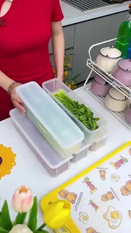 1/2/4Pcs Refrigerator Storage Boxes With Lid Plastic Fresh Keeping Box Kitchen Scallions Cilantro Eggs Noodles Sealed Container