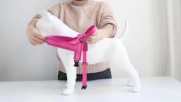 Nylon Padded Dog Harness Vest Adjustable Pet Cat Vest Soft Outdoor No Pull French Bulldog Chihuahua Pet Puppy Harness Vest Perro