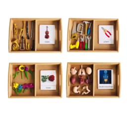 Montessori Language Materials Human Organ Models W/ Cards Biology Learning Resources Early Educational Equipment Teaching Aids