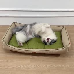 Square Cute Waterproof Large Dog Bed Color Block Summer Cooling Small Cat Sleeping Bed Cushion Soft Autumn Medium Cat Bed Sofa