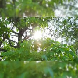 Car Front and Rear Sun Visors Car Windshield Summer Sun Protection Heat Insulation Window Sunshade Car Interior Sun Visor