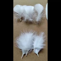 50Pcs/Lot! White Ostrich Goose Pheasant Feathers for Crafts Chicken Turkey Feather Wedding Party Accessories Decoration Plumes