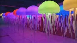 Bionic Jellyfish Night Light,USB Rechargeable with Voice Control,Dancing Tentacles,5 RGB Gradient,Floating Lamp,Bedroom Decor
