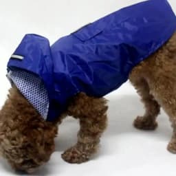 Dog Raincoat Convenient Reflective Pet Rainy Dog Clothes Outdoor Waterproof Cape Pet Raincoat