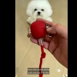 New Dog Interactive Ball Toy,Automatic Rolling Dog Ball Rechargeable,Smart Puppy Interactive Toy,Intelligent Balls Toy for Dogs