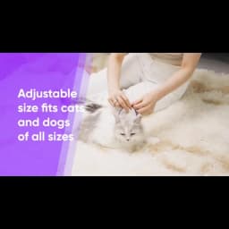 New Release 3/4 Pc Dog Calming Collar Cat Relieve Anxiety Protection Retractable Collars For Puppy Kitten Large Dogs Accessories