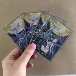 63x90mm 50PCS Holographic Card Sleeves, Anime Card Sleeves for Game Cards/ YGO Card Collection Player's Favorite Cartoon Sleeves