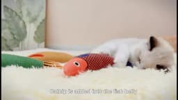 Cat Toys Fish,Teeth Grinding Catnip Toys,Soft and Durable,Kitten Toys Interactive Sounding Cat Chew Bite Plush Toys Cat Supplie