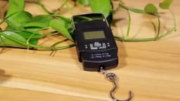 50kg/40kg 10g Portable Digital Scale LCD Electronic Hook Hanging Scale Baggage Weight with 100cm Retractable Measuring Tape