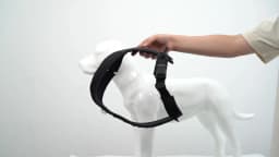 SMALL COMBINATION Dog Harness for Small Medium Large Dogs No Pull Reflective Dog Harness Adjustable Comfortable Outdoor Walking