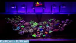PopBloom-Marine Aquarium LED Lighting Smart Saltwater LED Aquarium Lamp for Reef Coral Fish Tank Lamp,180-240cm,WiFi-App Control