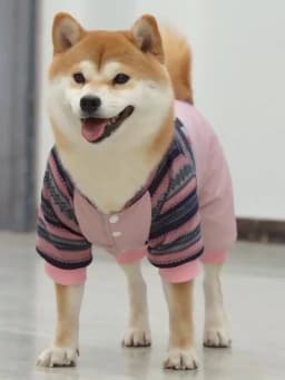Knit High Neck Dog Sweater Jacket Winter Thick Pet Tracksuit Overall Pink Blue S XXL Down Outdoor Wear Pomeranian Shih Tzu Goods