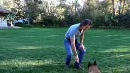 Dog Training Products, Jaoseko Dog Bite Rods, Grinding Teeth, Stick, Biting Target Pet Supplies, Stick Dog Toys