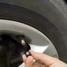 For Leapmotor Leap T03 C11 C01 C16 T03 S01 B01 B10 C10 C16 Car Wheel Tire Air Valve Caps Stem Cover With Brand Auto Accessorier