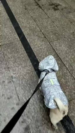 Reflective Dog Raincoat Waterproof Dog Clothes For Small Large Dogs Rain Coat Golden Retriever Raincape Pug Chihuahua Pet Poncho