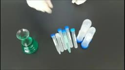 10 Pieces 50ML/15ML/10ML Laboratory Sample Screw Round Bottom Plastic Test Tube Ep Tube with Scale Screw Cap Centrifuge Tube