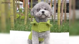 Benepaw Windproof  Warm Fleece Pet Clothing For Small Medium Large Dogs Winter Reflective Leash Hole Puppy Dog Clothes Jacket