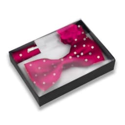 Classic High Quality Bow Tie Set Box Gift For Men Fashion Elegant Bowtie Handchief And Brooch Set Wedding Business Accessories