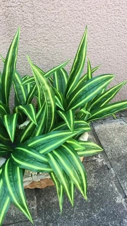 13in Artificial Plants Wall Palm Leaves Tropical Fake Dracaena Tree Lily Bamboo Plastic Magnolia Foliage For Home Garden Decor