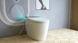 Smart Toilet with Built-in Bidet, AUTO Open/Close, Warm Water Sprayer, AUTO Dual Flush, Heated Bidet Toilet Seat for Bathrooms