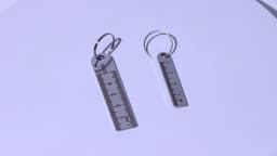 2PCS New Stainless Steel Mini Ruler With Keychain - Measuring Tool For Office And School Supplies (Anti-loss Measuring Ruler)
