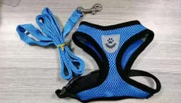 Breathable Mesh Cat Small Dog Harness And Leash Kitten Cats Harnesses Little Dog Puppy Harness For French Bulldog Chihuahua Pug